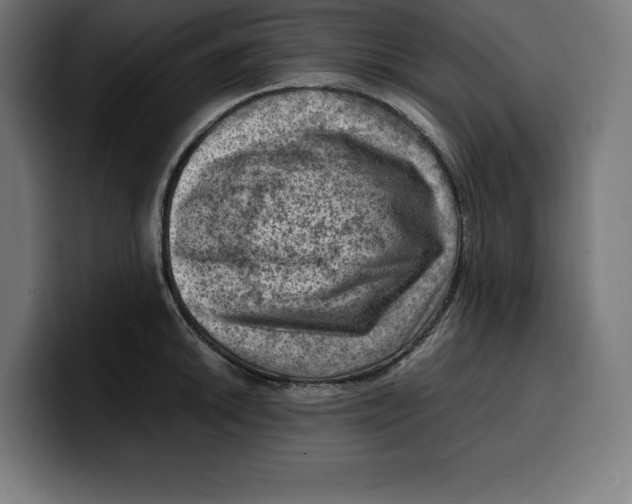 X0000099981046200806131355