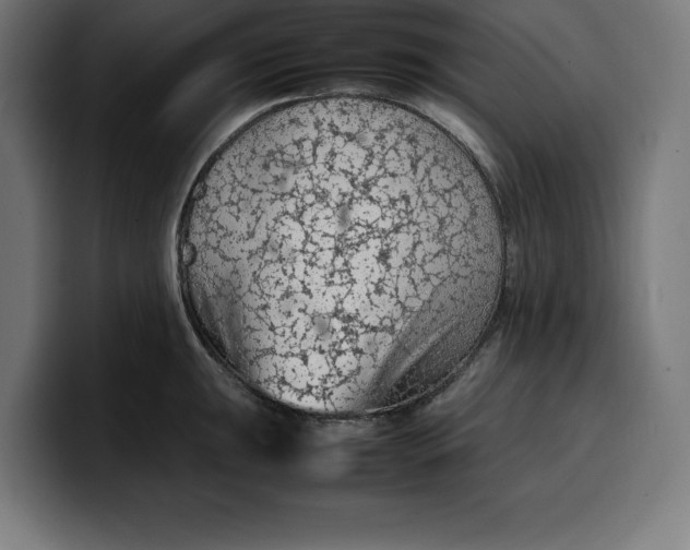 X0000099981047200806131355