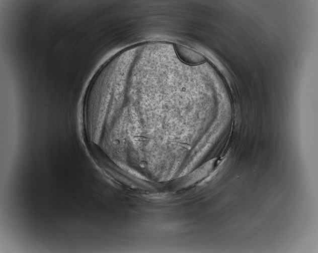 X0000099981048200806131355