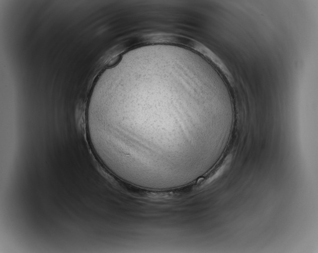 X0000099981049200806131355