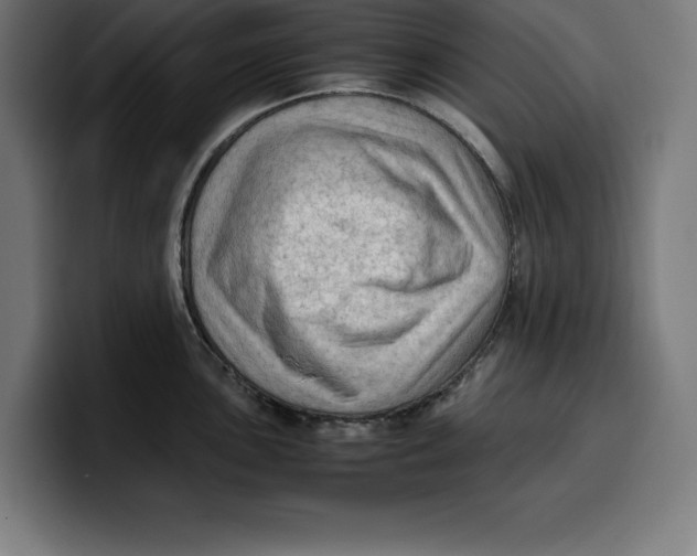 X0000099981051200806131355