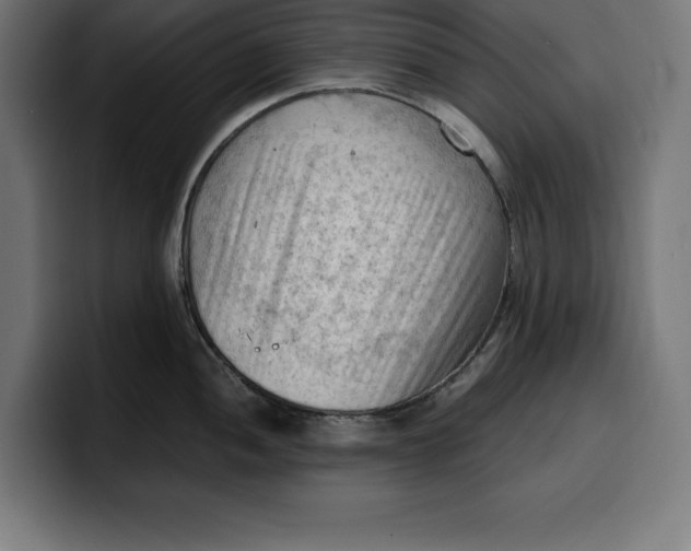 X0000099981052200806131355