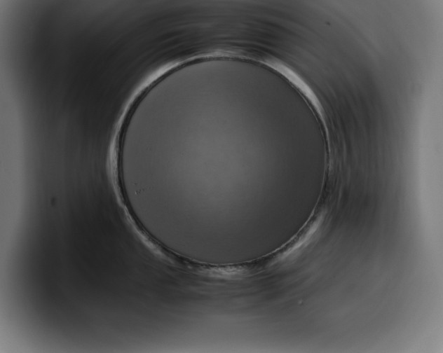 X0000099981053200806131355