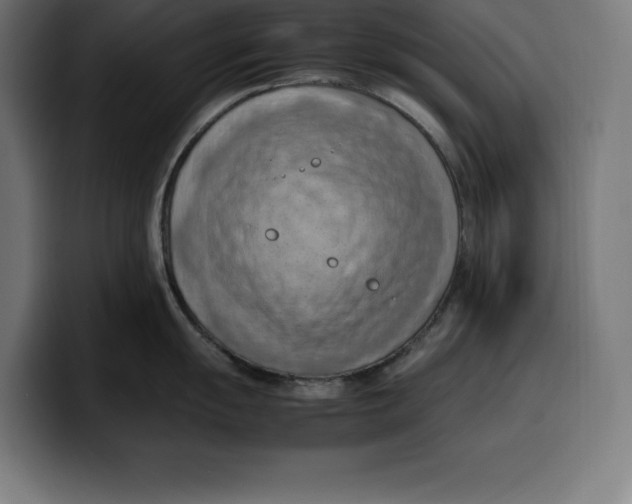 X0000099981055200806131355