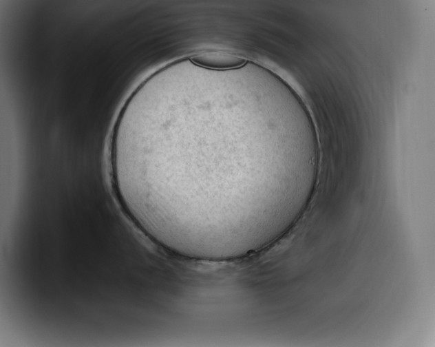 X0000099981056200806131355