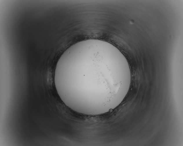 X0000099981058200806131354