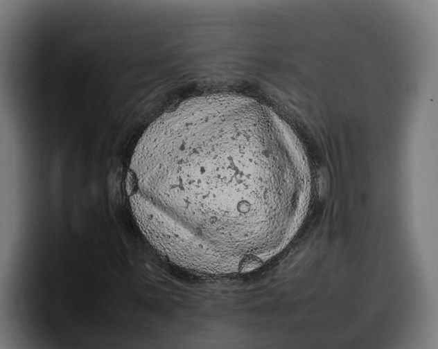 X0000099981059200806131354