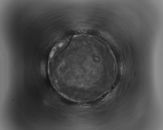 X0000099981060200806131354