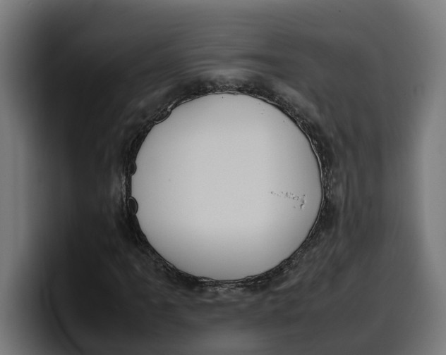 X0000099981061200806131354