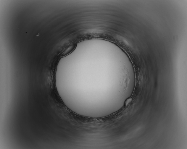 X0000099981062200806131354