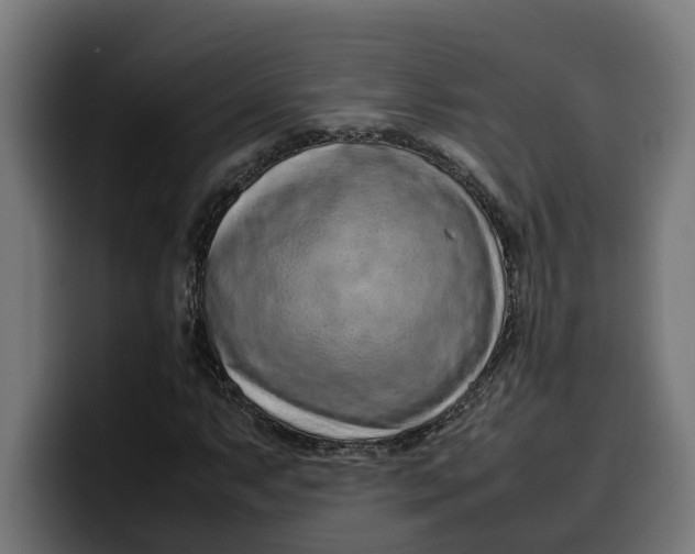 X0000099981063200806131354