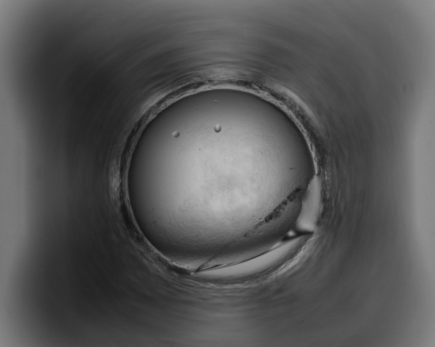 X0000099981065200806131354