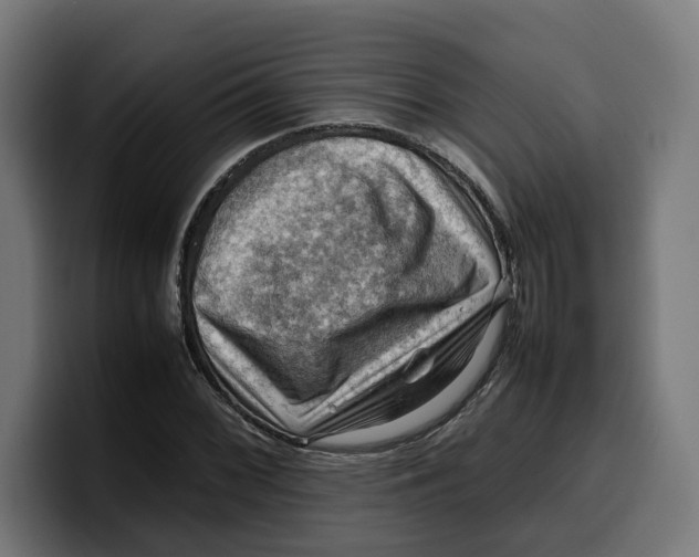 X0000099981068200806131354