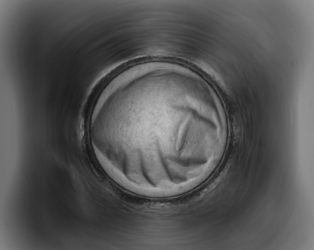 X0000099981070200806131354