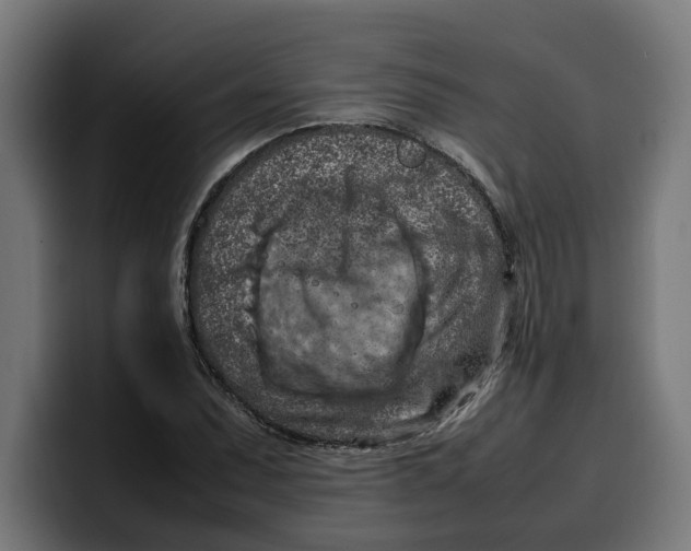 X0000099981071200806131354