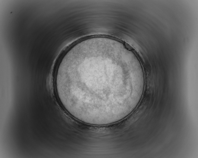 X0000099981072200806131354