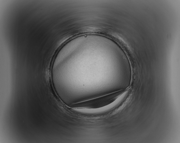 X0000099981073200806131354