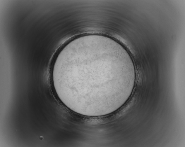 X0000099981074200806131354