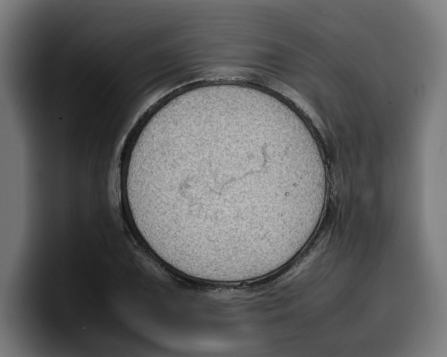 X0000099981075200806131354