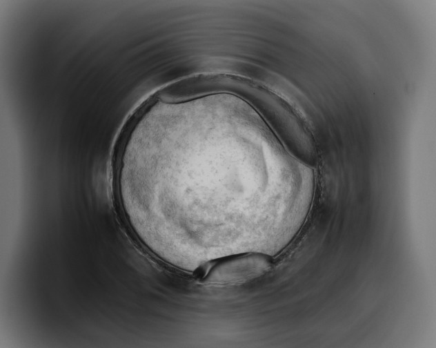 X0000099981076200806131354