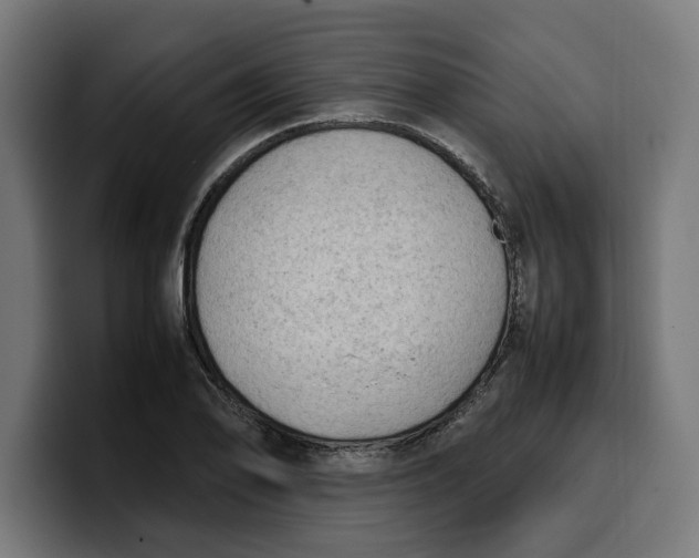 X0000099981078200806131354