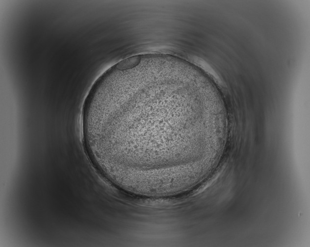 X0000099981079200806131354