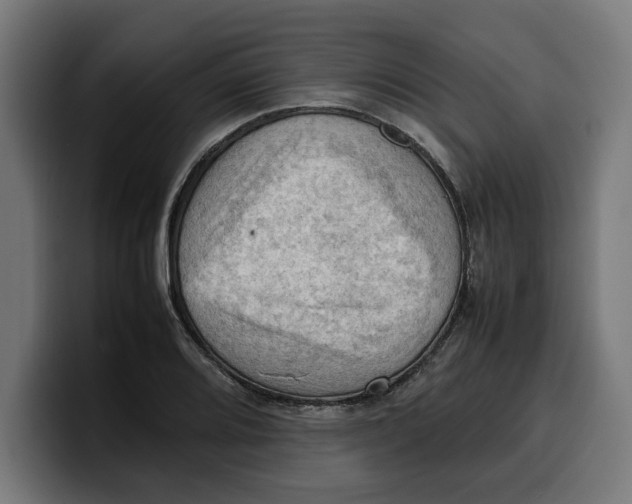 X0000099981080200806131354