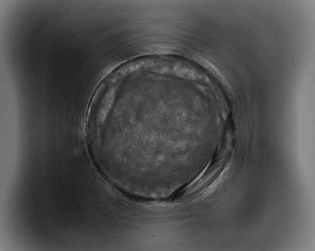 X0000099981081200806131354