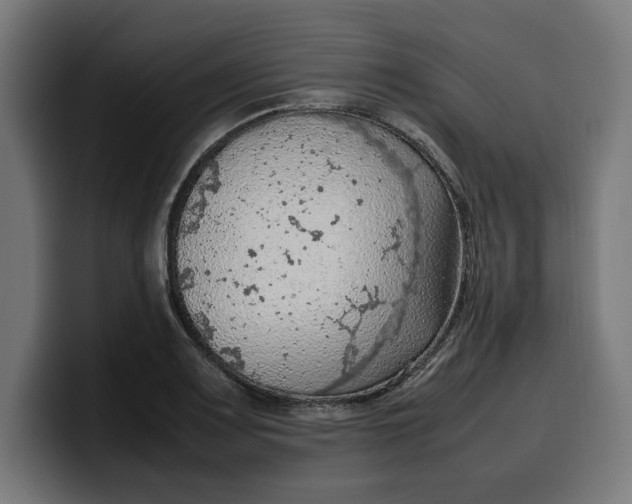 X0000099981083200806131354