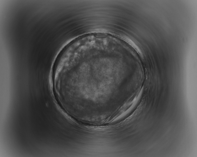 X0000099981084200806131354