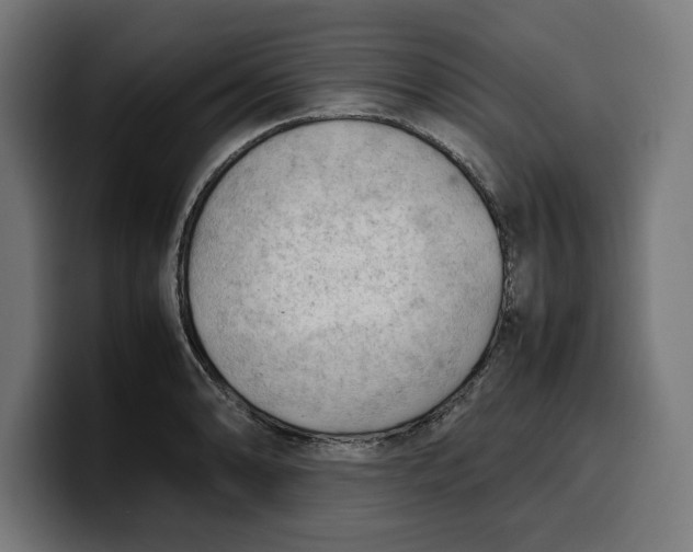 X0000099981086200806131354