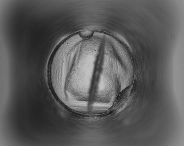 X0000099981087200806131354