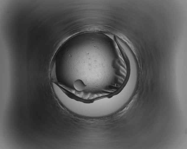 X0000099981089200806131354