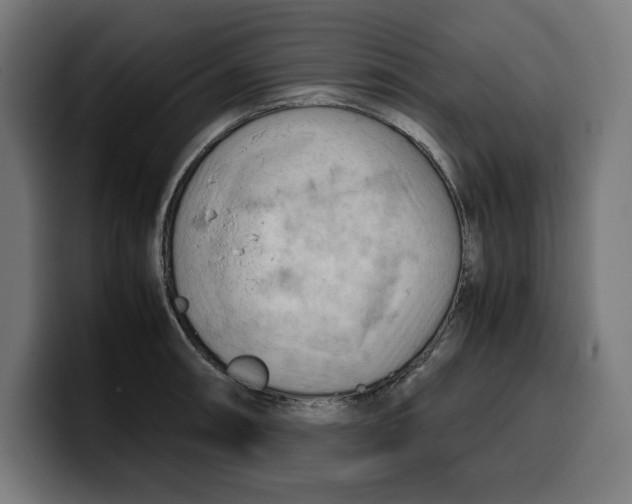 X0000099981090200806131354