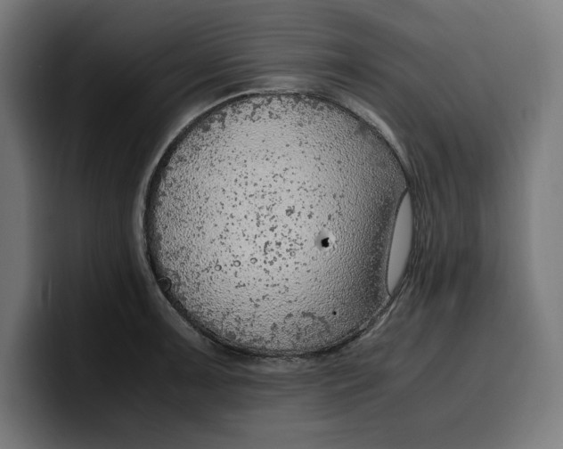 X0000099981091200806131354