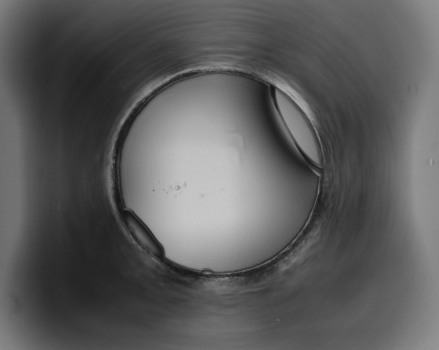 X0000099981093200806131354