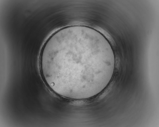 X0000099981094200806131354