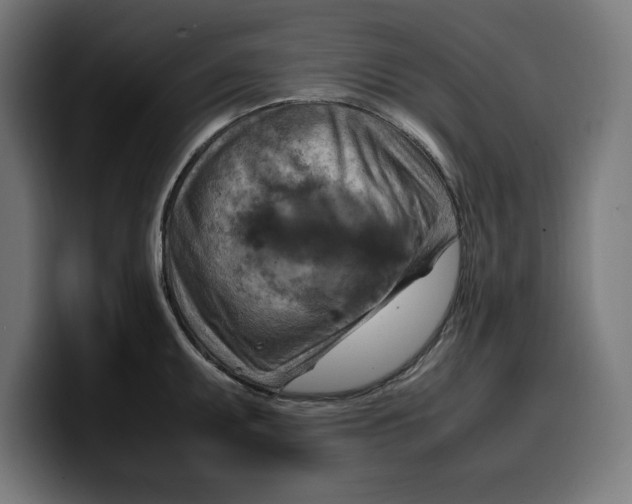 X0000099981095200806131354