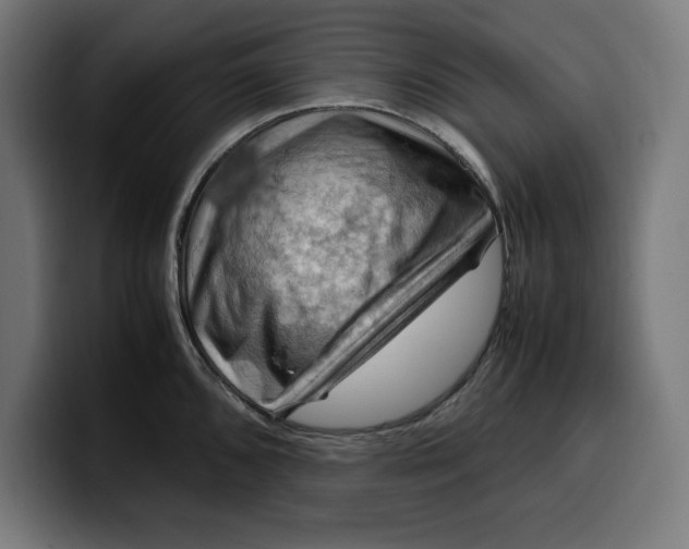 X0000099981096200806131354