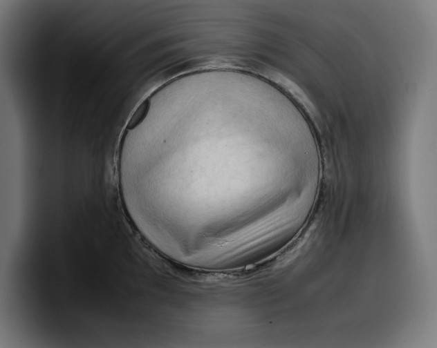 X0000099981097200806131354