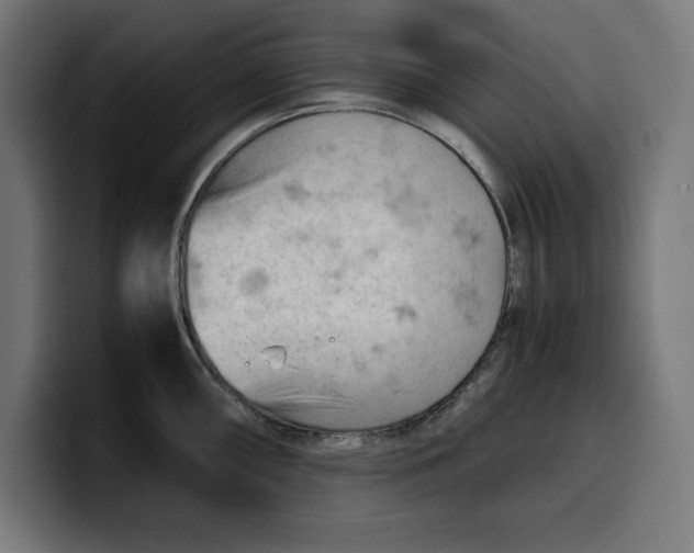 X0000099981098200806131354