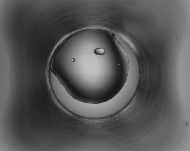 X0000099981100200806131354