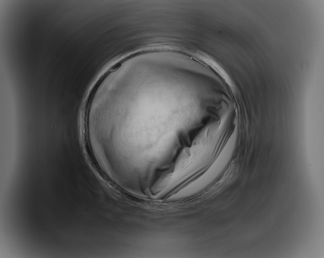 X0000099981101200806131354