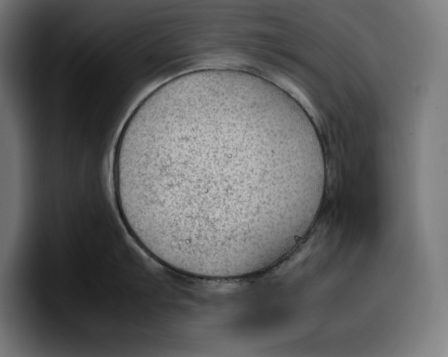 X0000099981103200806131354