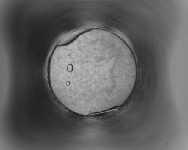 X0000099981104200806131354