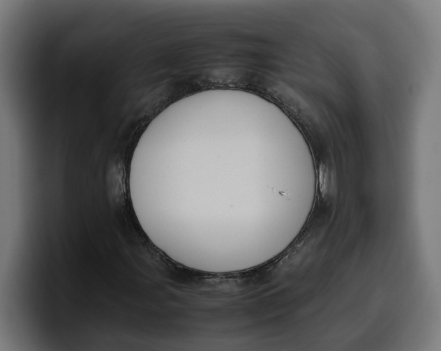 X0000099981107200806131353