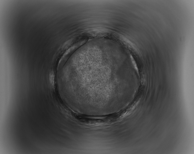 X0000099981108200806131353