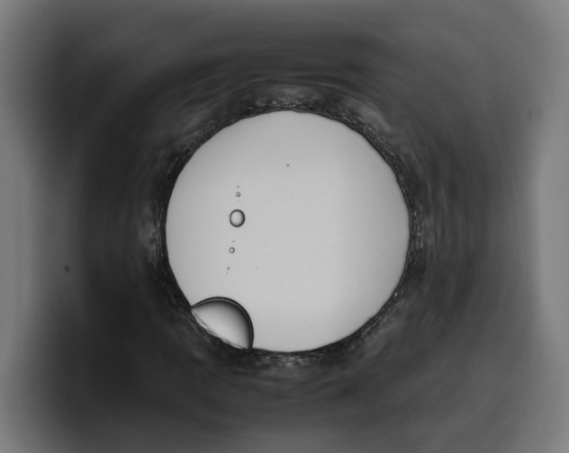 X0000099981109200806131353