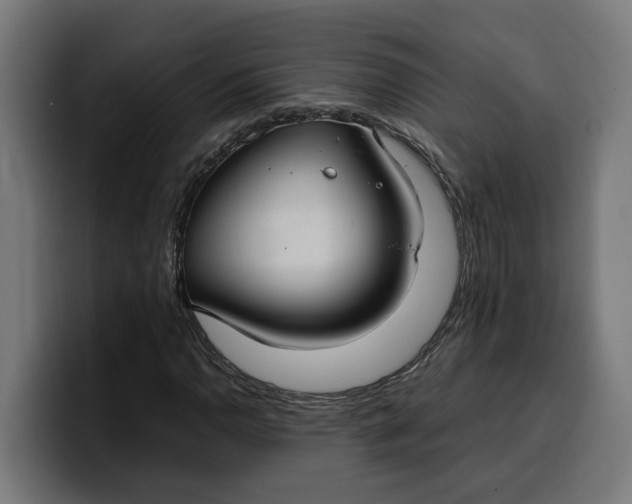 X0000099981110200806131353