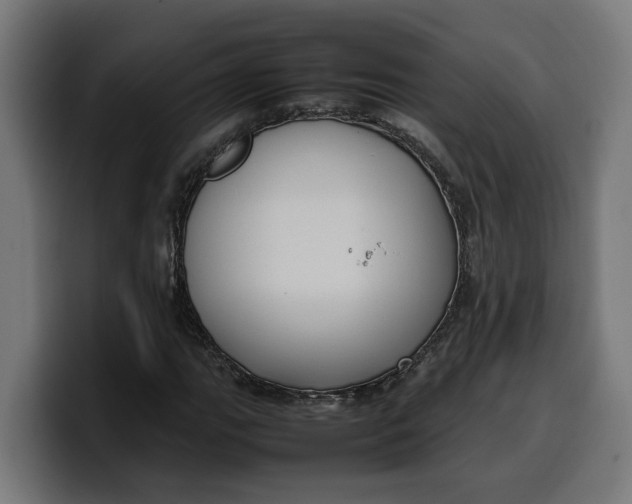 X0000099981111200806131353